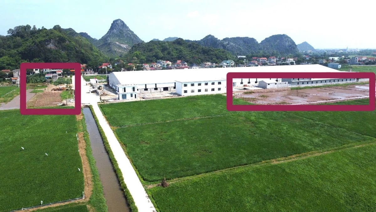 Hiện trạng đất nông nghiệp đã bị thay đổi hiện trạng bên cạnh nhà máy của Công ty Lộc Phát. Ảnh: Thanh Tâm Hiện trạng đất nông nghiệp đã bị thay đổi hiện trạng bên cạnh nhà máy của Công ty Lộc Phát. Ảnh: Thanh Tâm