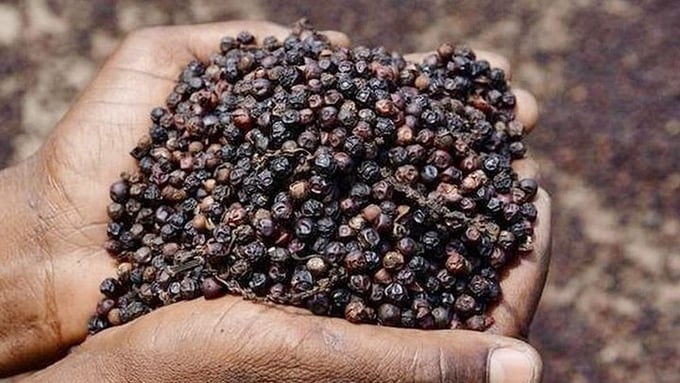 Pepper prices on May 16, 2025, in the domestic and global markets