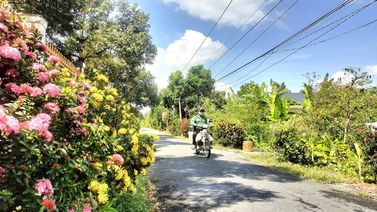Tuyến đường nông thôn ở xã Ngũ Hiệp được trồng hoa, vệ sinh sạch sẽ. Ảnh: Minh Đảm. Tuyến đường nông thôn ở xã Ngũ Hiệp được trồng hoa, vệ sinh sạch sẽ. Ảnh: Minh Đảm.