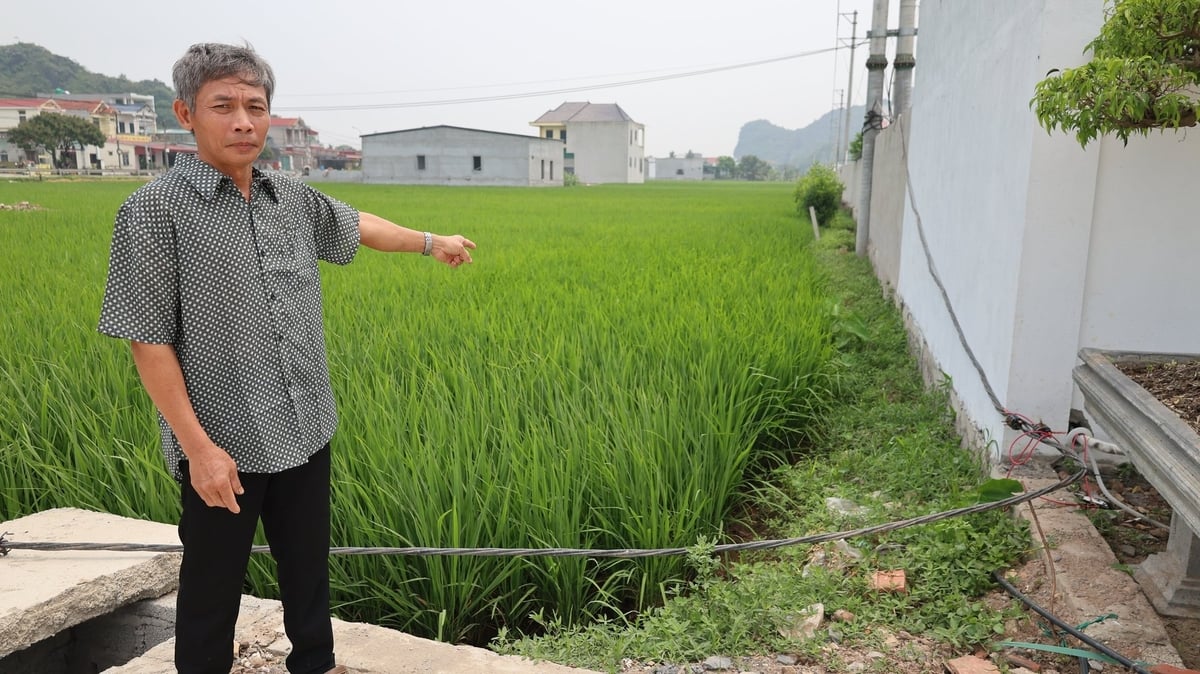 Sau khi Công ty Lộc Phát lấp kênh Sông Xã để làm đường bê tông, diện tích đất sản xuất nông nghiệp bên cạnh không có đường xuống. Ảnh: Thanh Tâm. Sau khi Công ty Lộc Phát lấp kênh Sông Xã để làm đường bê tông, diện tích đất sản xuất nông nghiệp bên cạnh không có đường xuống. Ảnh: Thanh Tâm.