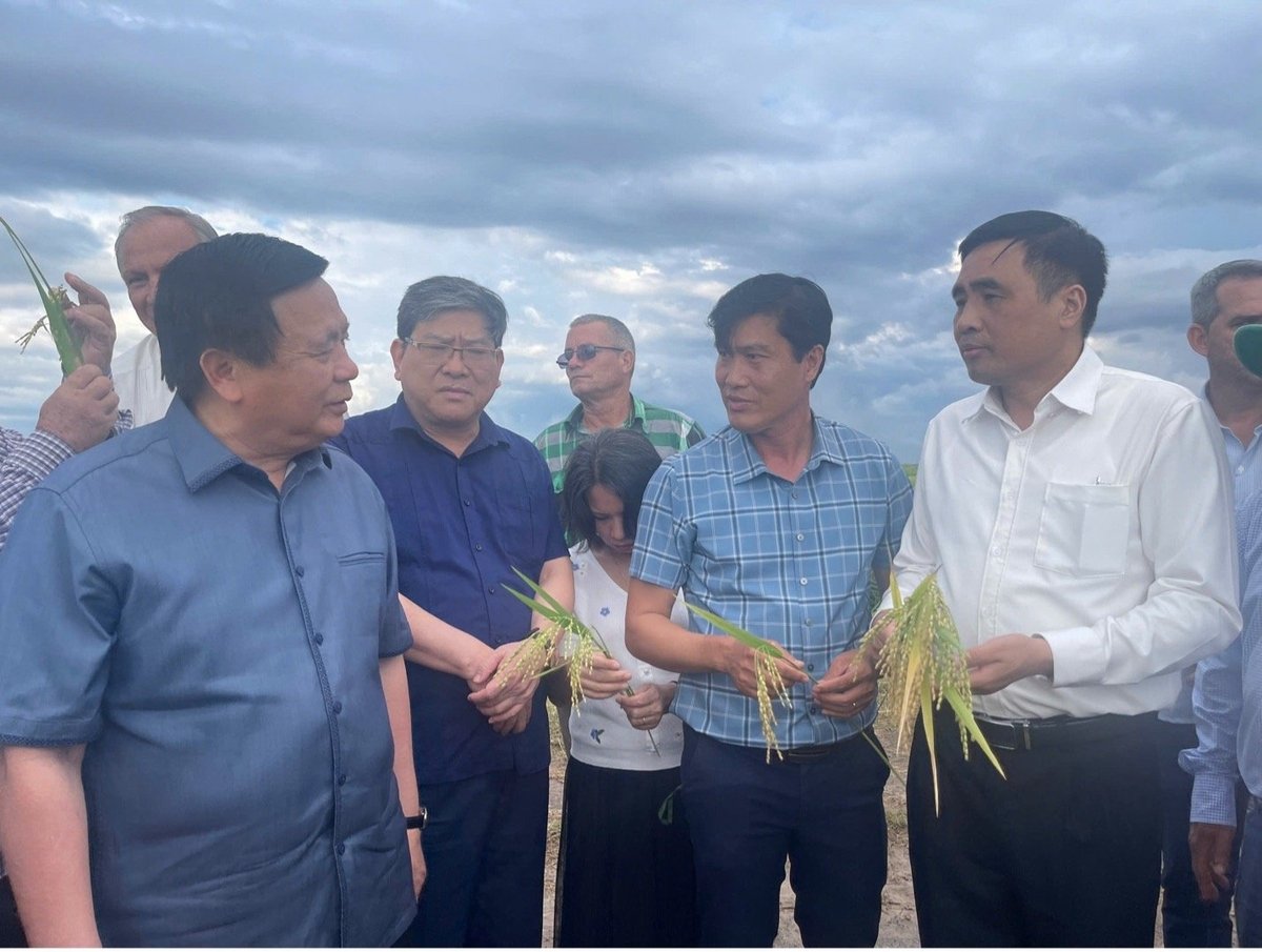 Đồng chí Nguyễn Xuân Thắng, Ủy viên Bộ Chính trị, Giám đốc Học viện chính trị quốc gia thăm huyện Los Palacios, tỉnh Pinar del Rio và ruộng lúa do công ty Agri VMA đầu tư sản xuất tại Cuba. Ảnh: ICD. Đồng chí Nguyễn Xuân Thắng, Ủy viên Bộ Chính trị, Giám đốc Học viện chính trị quốc gia thăm huyện Los Palacios, tỉnh Pinar del Rio và ruộng lúa do công ty Agri VMA đầu tư sản xuất tại Cuba. Ảnh: ICD.