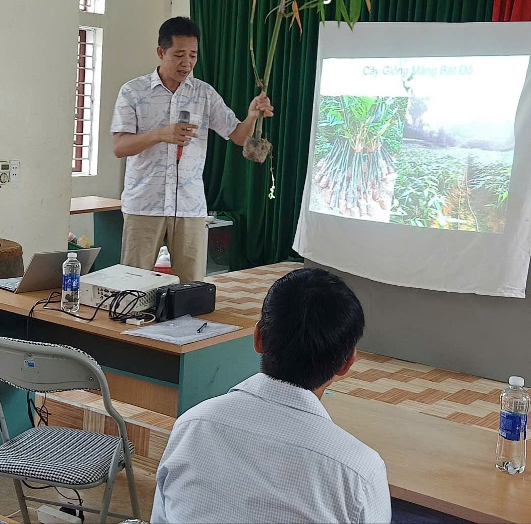 Tập huấn kỹ thuật trồng và chăm sóc cây măng Bát Độ cho người dân xã Mường Chanh. Ảnh: Thanh Tâm Tập huấn kỹ thuật trồng và chăm sóc cây măng Bát Độ cho người dân xã Mường Chanh. Ảnh: Thanh Tâm