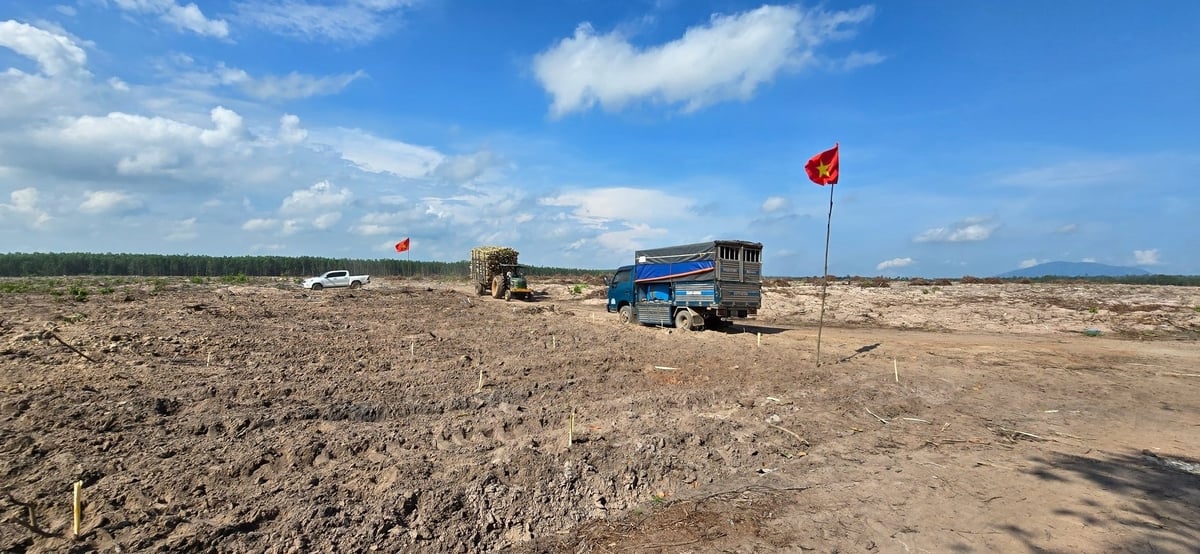 Khu vực triển khai trồng 1.000 cây xanh để hồi sinh những cánh rừng từng khô cằn sau đợt hạn kéo dài khốc liệt nhất tại Đông Nam bộ trong nhiều năm qua. Ảnh: Minh Sáng. Khu vực triển khai trồng 1.000 cây xanh để hồi sinh những cánh rừng từng khô cằn sau đợt hạn kéo dài khốc liệt nhất tại Đông Nam bộ trong nhiều năm qua. Ảnh: Minh Sáng.