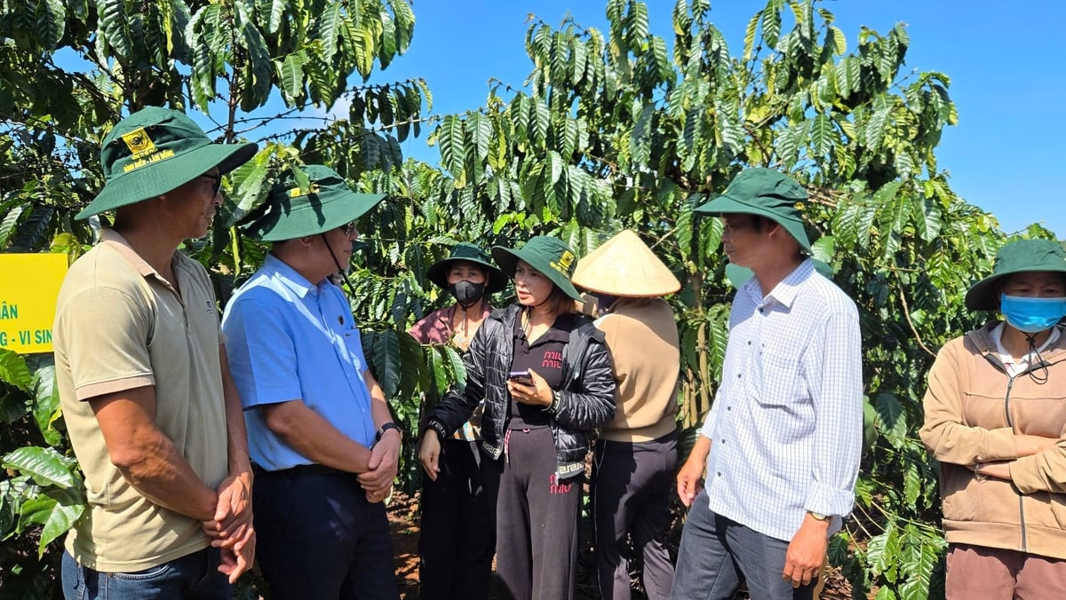 Phân bón Bình Điền sẽ đưa ra các loại phân bón NPK chuyên dùng cho từng loại cây, thích ứng với biến đổi khí hậu. Ảnh: Ngọc Vân. Phân bón Bình Điền sẽ đưa ra các loại phân bón NPK chuyên dùng cho từng loại cây, thích ứng với biến đổi khí hậu. Ảnh: Ngọc Vân.