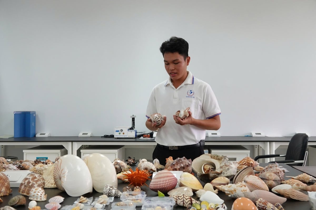Trần Tiến Đạt đã dành nhiều năm sưu tầm hơn 300 mẫu vỏ ốc, thuộc hơn 100 loài ốc biển. Ảnh: Kim Anh. Trần Tiến Đạt đã dành nhiều năm sưu tầm hơn 300 mẫu vỏ ốc, thuộc hơn 100 loài ốc biển. Ảnh: Kim Anh.