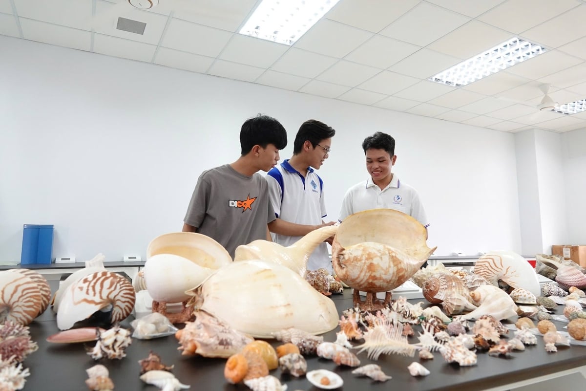 Bộ sưu tập vỏ ốc nhận được sự quan tâm của nhiều bạn trẻ đến tham quan, tìm hiểu. Ảnh: Kim Anh. Bộ sưu tập vỏ ốc nhận được sự quan tâm của nhiều bạn trẻ đến tham quan, tìm hiểu. Ảnh: Kim Anh.