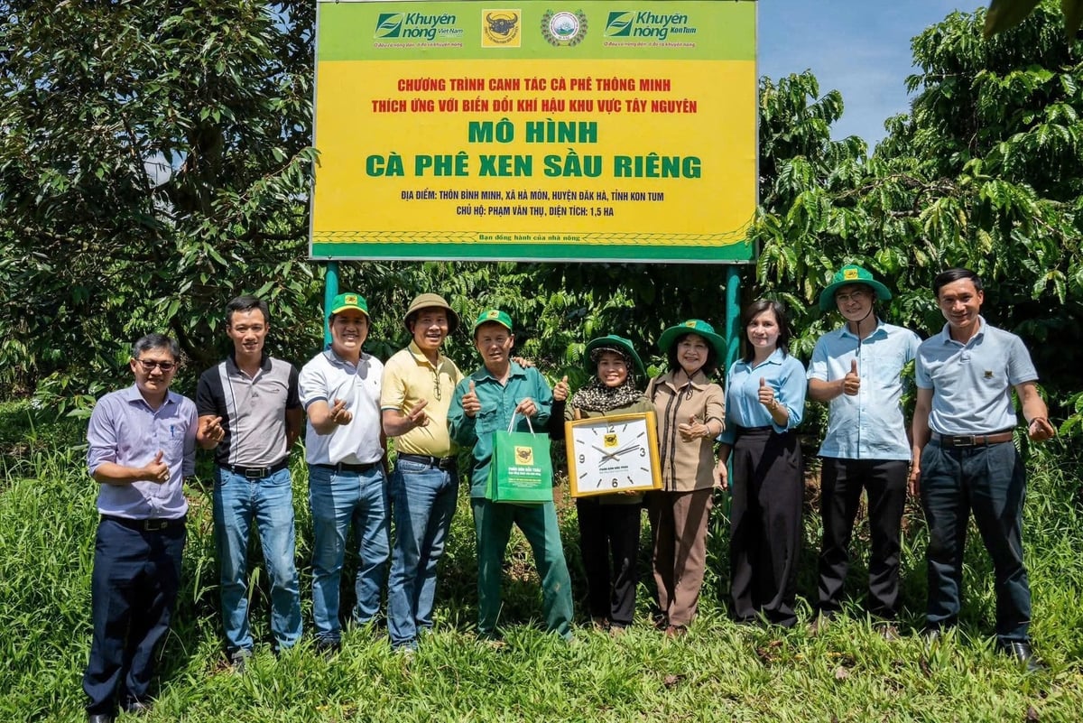 Chương trình canh tác cà phê thông minh thích ứng với biến đổi khí hậu do Phân bón Bình Điền phối hợp thực hiện. Ảnh: Ngọc Vân. Chương trình canh tác cà phê thông minh thích ứng với biến đổi khí hậu do Phân bón Bình Điền phối hợp thực hiện. Ảnh: Ngọc Vân.