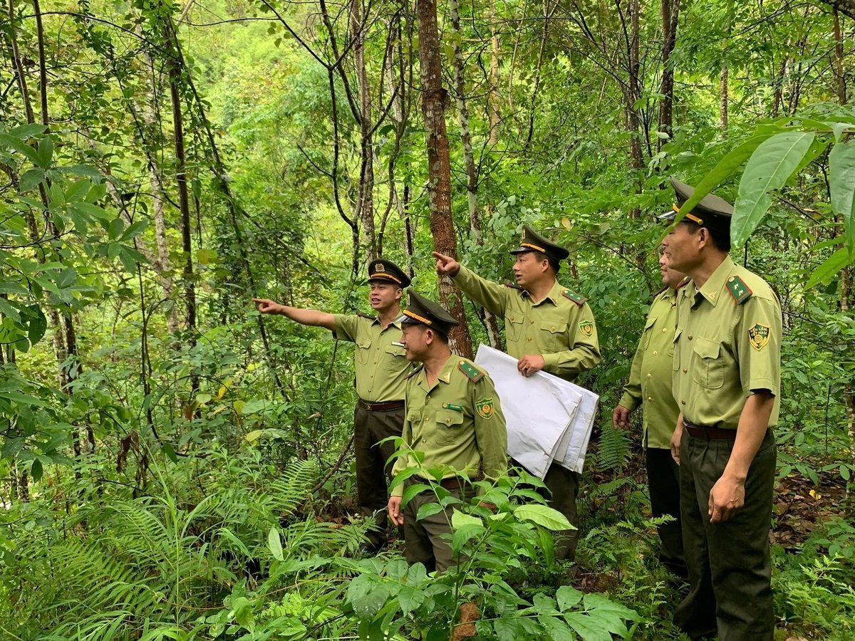 Lực lượng kiểm lâm sẵn sàng có mặt ở những nơi khó khăn, hiểm nguy nhất. Ảnh: Nguyễn Nga Lực lượng kiểm lâm sẵn sàng có mặt ở những nơi khó khăn, hiểm nguy nhất. Ảnh: Nguyễn Nga