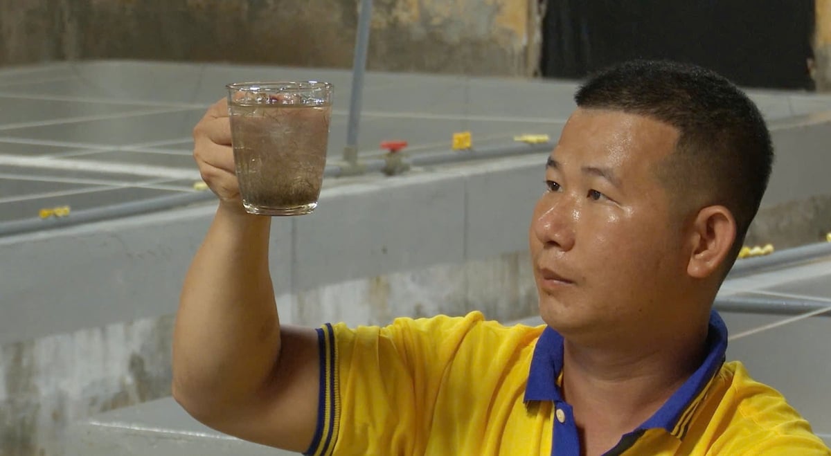 Sản lượng tôm giống được sản xuất trong những cơ sở an toàn dịch bệnh chiếm khoảng 15-20% sản lượng tôm giống toàn tỉnh Ninh Thuận. Ảnh: PC. Sản lượng tôm giống được sản xuất trong những cơ sở an toàn dịch bệnh chiếm khoảng 15-20% sản lượng tôm giống toàn tỉnh Ninh Thuận. Ảnh: PC.