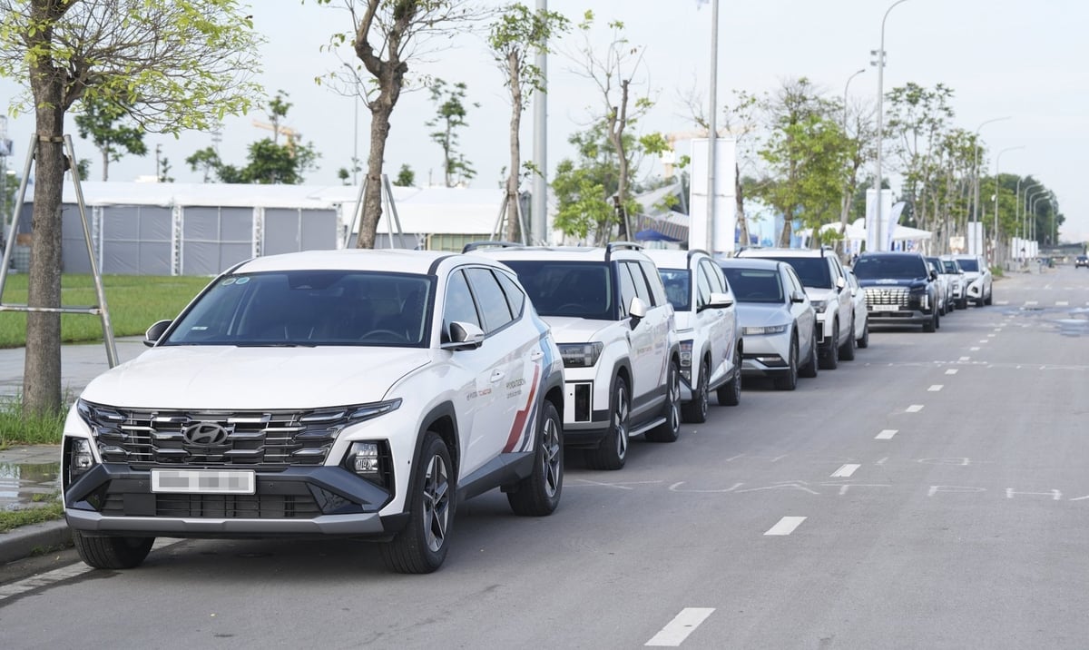 Hyundai đem đến sự kiện Hyundai Care Day nhiều xe cho khách hàng lái thử, trong đó có Hyundai Ioniq 5, Palisade, Santa Fe và các mẫu xe khác. Ảnh: Hyundai Thành Công Việt Nam. Hyundai đem đến sự kiện Hyundai Care Day nhiều xe cho khách hàng lái thử, trong đó có Hyundai Ioniq 5, Palisade, Santa Fe và các mẫu xe khác. Ảnh: Hyundai Thành Công Việt Nam.