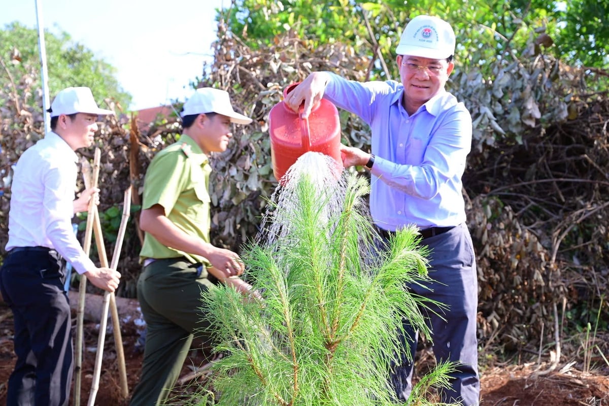 Ông Hồ Văn Mười, Chủ tịch UBND tỉnh Đắk Nông cùng các sở ngành trồng và tưới cây sau buổi lễ phát động. Ảnh: Phạm Hoài. Ông Hồ Văn Mười, Chủ tịch UBND tỉnh Đắk Nông cùng các sở ngành trồng và tưới cây sau buổi lễ phát động. Ảnh: Phạm Hoài.