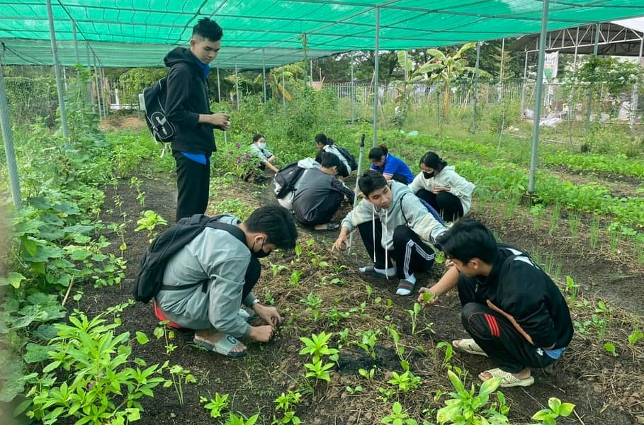Các em học sinh tỉnh Đồng Tháp được tham gia, tìm hiểu và trải nghiệm trồng rau hữu cơ. Ảnh: Seed to Table. Các em học sinh tỉnh Đồng Tháp được tham gia, tìm hiểu và trải nghiệm trồng rau hữu cơ. Ảnh: Seed to Table.