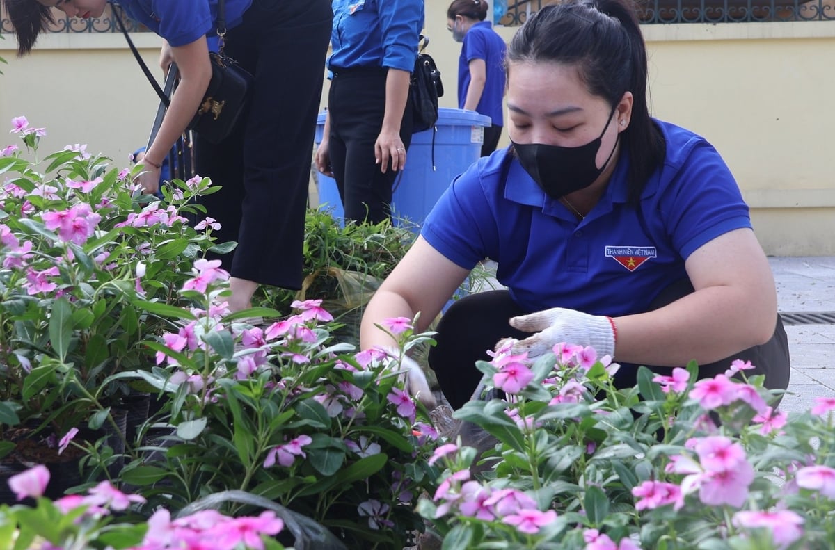Những luống hoa rực rỡ sẽ được trồng tại khu vực Nhà bia tưởng niệm. Ảnh: Hoàng Hiền. Những luống hoa rực rỡ sẽ được trồng tại khu vực Nhà bia tưởng niệm. Ảnh: Hoàng Hiền.