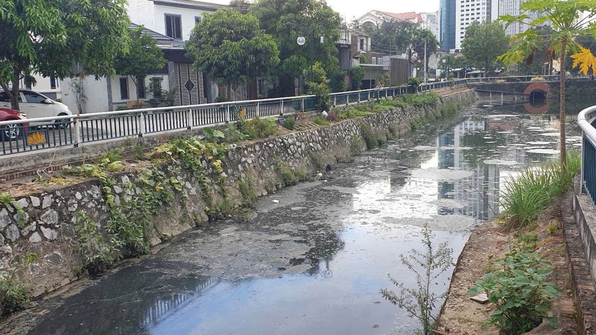 Hào thành cổ Vinh quanh năm nước đen ngòm. Ảnh: Đình Tiệp. Hào thành cổ Vinh quanh năm nước đen ngòm. Ảnh: Đình Tiệp.