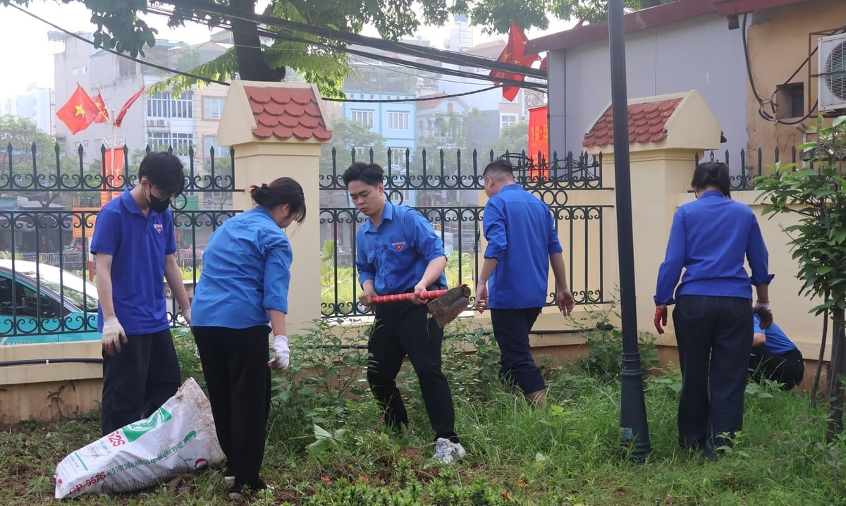 Đoàn viên thanh niên phường Đại Kim phát quang cỏ dại, nhặt rác tại bồn hoa. Ảnh: Hoàng Hiền. Đoàn viên thanh niên phường Đại Kim phát quang cỏ dại, nhặt rác tại bồn hoa. Ảnh: Hoàng Hiền.