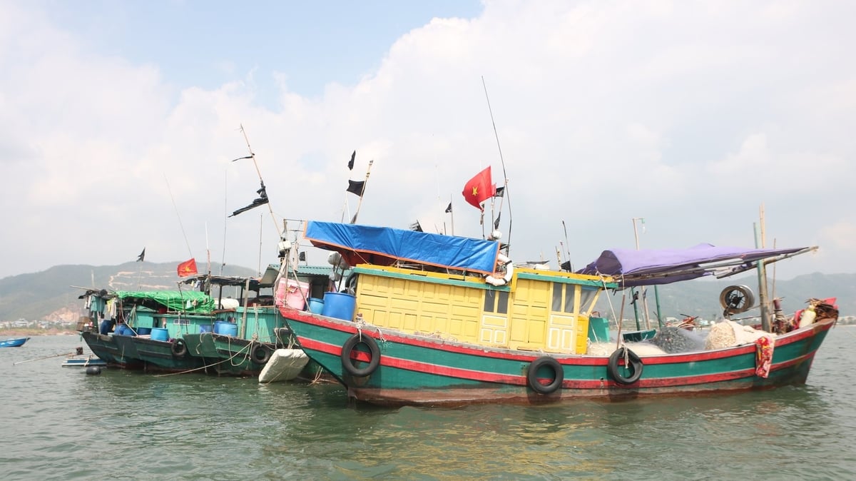Quảng Ninh kiểm soát chặt chẽ các tàu cá khi khai thác ngoài khơi. Ảnh: Thanh Phương. Quảng Ninh kiểm soát chặt chẽ các tàu cá khi khai thác ngoài khơi. Ảnh: Thanh Phương.