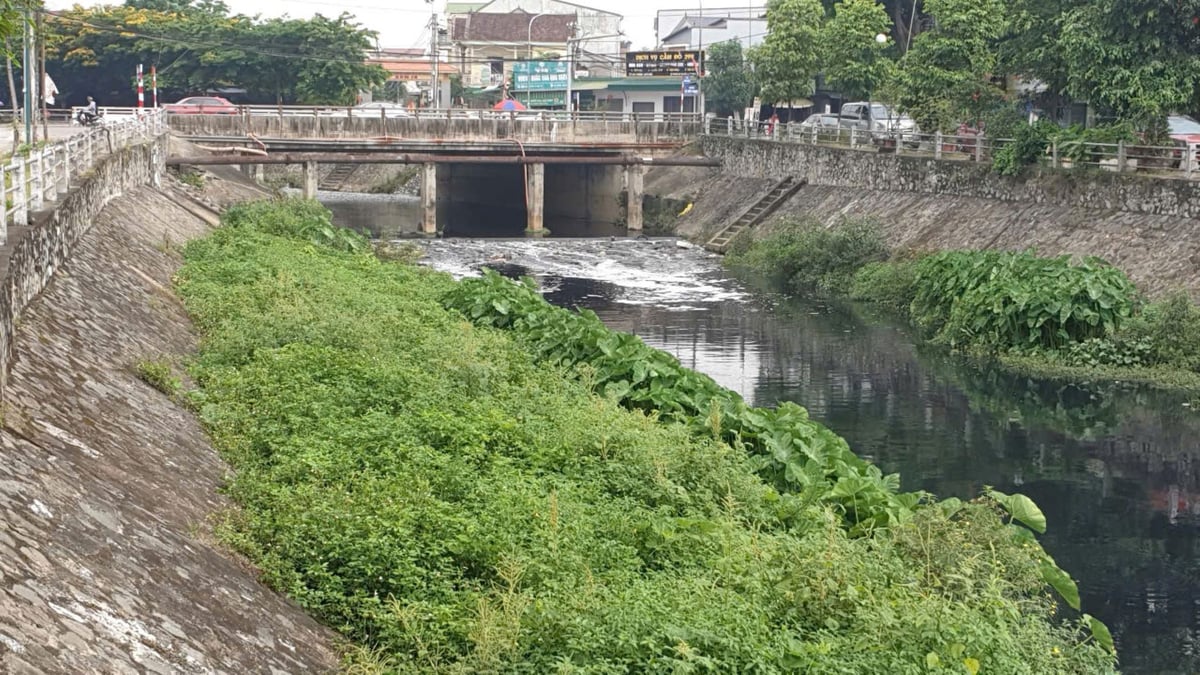 Kênh Bắc bị bồi lấp, ô nhiễm. Ảnh: Đình Tiệp. Kênh Bắc bị bồi lấp, ô nhiễm. Ảnh: Đình Tiệp.