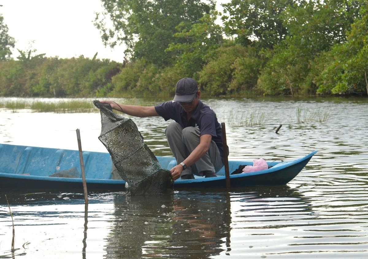 Nông dân đặt lú trong vuông nuôi tôm để theo dõi, đánh giá sự tăng trưởng của tôm, đồng thời thu tỉa khi tôm đạt kích cỡ thu hoạch. Ảnh: Trung Chánh.