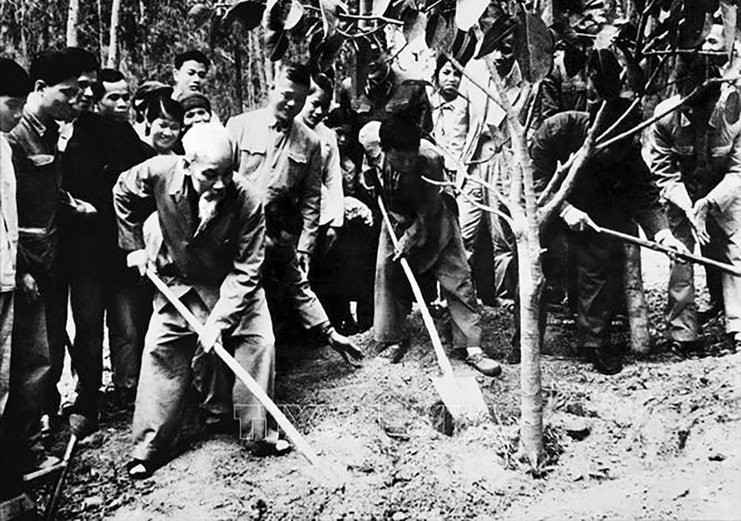 Sinh thời, dù bận trăm công nghìn việc nhưng Bác Hồ luôn quan tâm đến việc trồng cây, gây rừng. Ảnh: TTXVN. Sinh thời, dù bận trăm công nghìn việc nhưng Bác Hồ luôn quan tâm đến việc trồng cây, gây rừng. Ảnh: TTXVN.