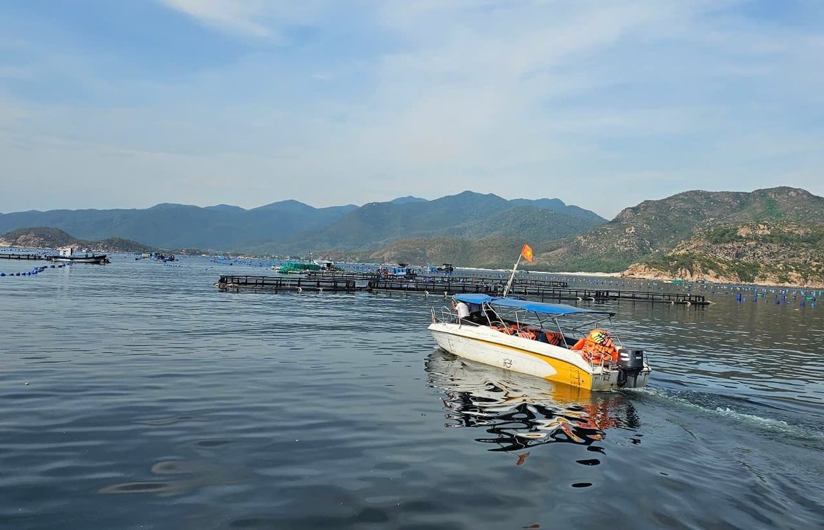 Khánh Hòa có nhiều tiềm năng và lợi thế để phát triển thủy sản. Ảnh: KS. Khánh Hòa có nhiều tiềm năng và lợi thế để phát triển thủy sản. Ảnh: KS.