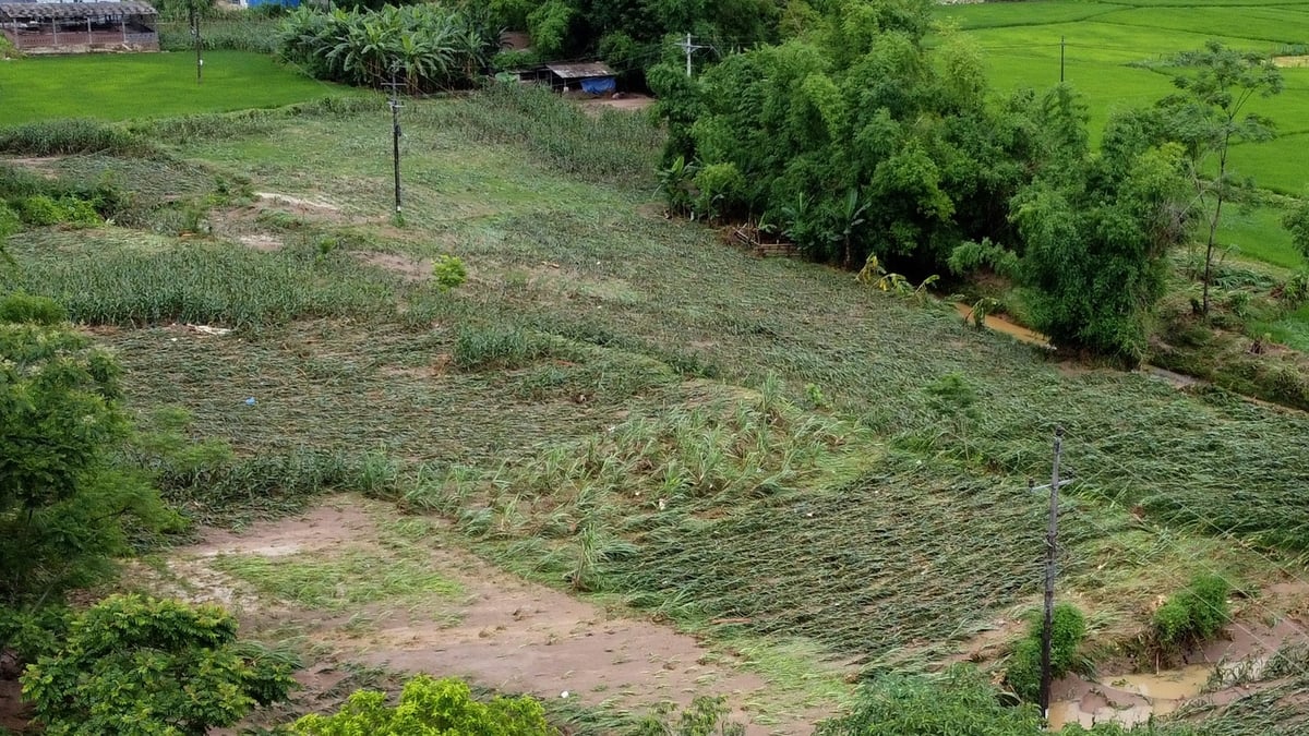 Cánh đồng bị nước lũ tràn qua tại xã Đồng Phúc, huyện Ba Bể. Ảnh: Ngọc Tú. Cánh đồng bị nước lũ tràn qua tại xã Đồng Phúc, huyện Ba Bể. Ảnh: Ngọc Tú.