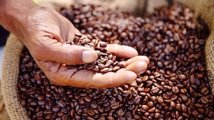 Domestic and global coffee prices on May 20, 2025
