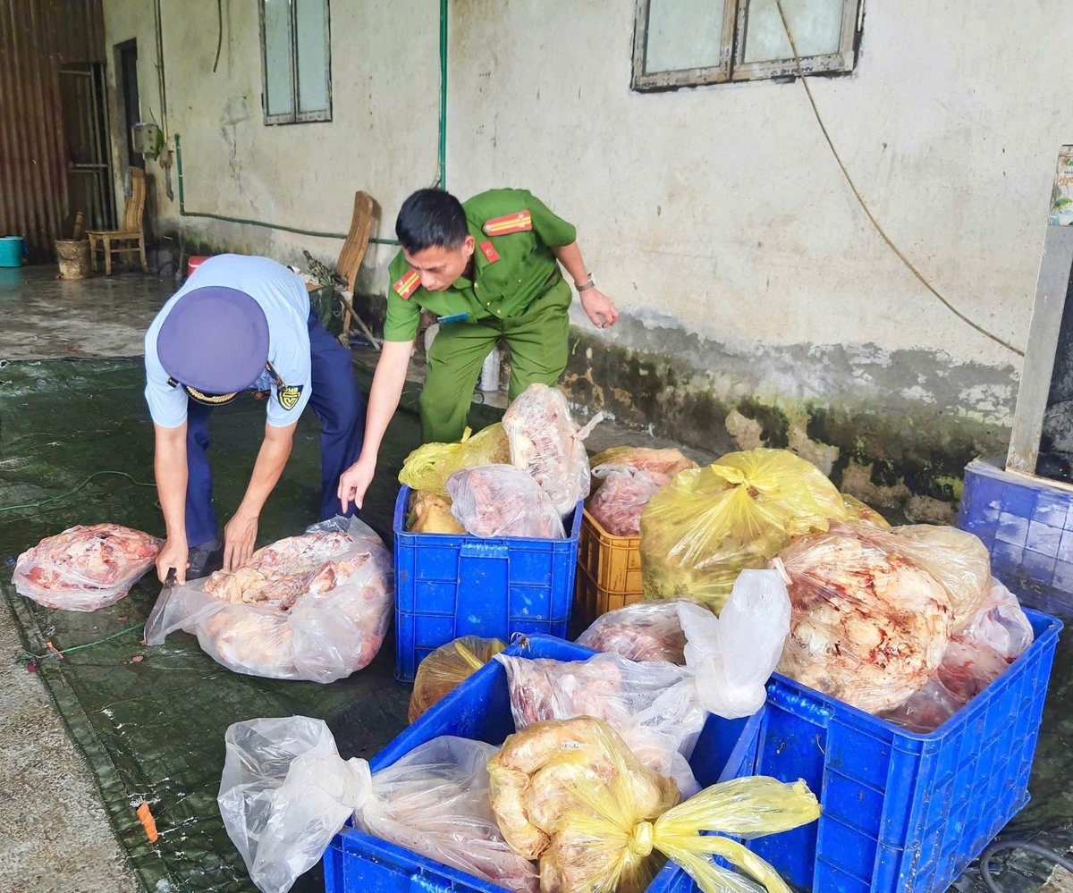 Thực phẩm gà đông lạnh bố mùi hôi thối. Ảnh: Chi cục Quản lý thị trường tỉnh Hà Giang. Thực phẩm gà đông lạnh bố mùi hôi thối. Ảnh: Chi cục Quản lý thị trường tỉnh Hà Giang.