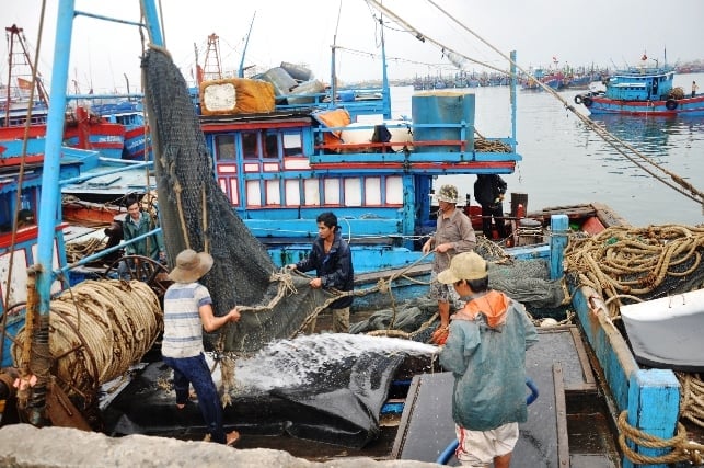 Lực lượng lao động đi biển tại Đà Nẵng ngày càng khan hiếm. Ảnh: Lan Anh. Lực lượng lao động đi biển tại Đà Nẵng ngày càng khan hiếm. Ảnh: Lan Anh.