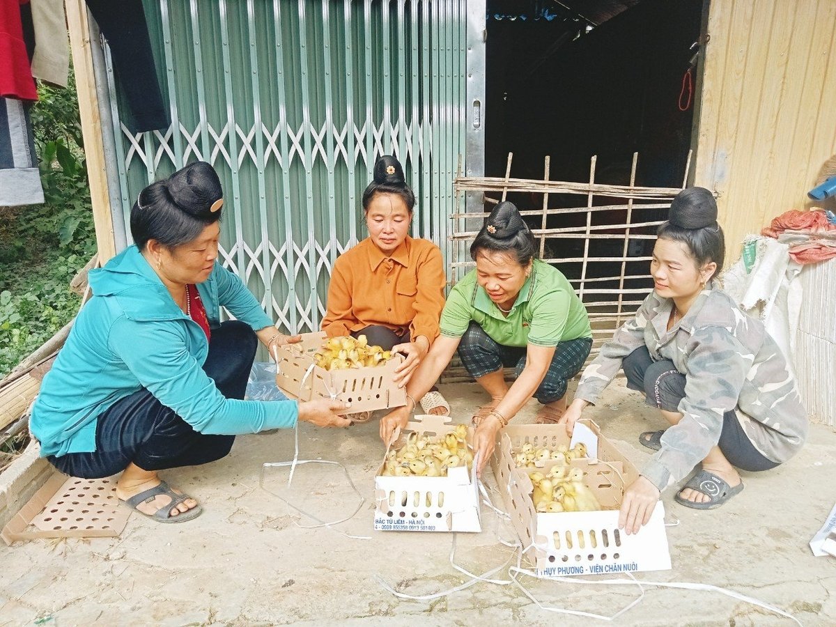 Cấc cấp hội phụ nữ đẩy mạnh phong trào phụ nữ giúp nhau phát triển kinh tế. Ảnh: Trần Hương. Cấc cấp hội phụ nữ đẩy mạnh phong trào phụ nữ giúp nhau phát triển kinh tế. Ảnh: Trần Hương.
