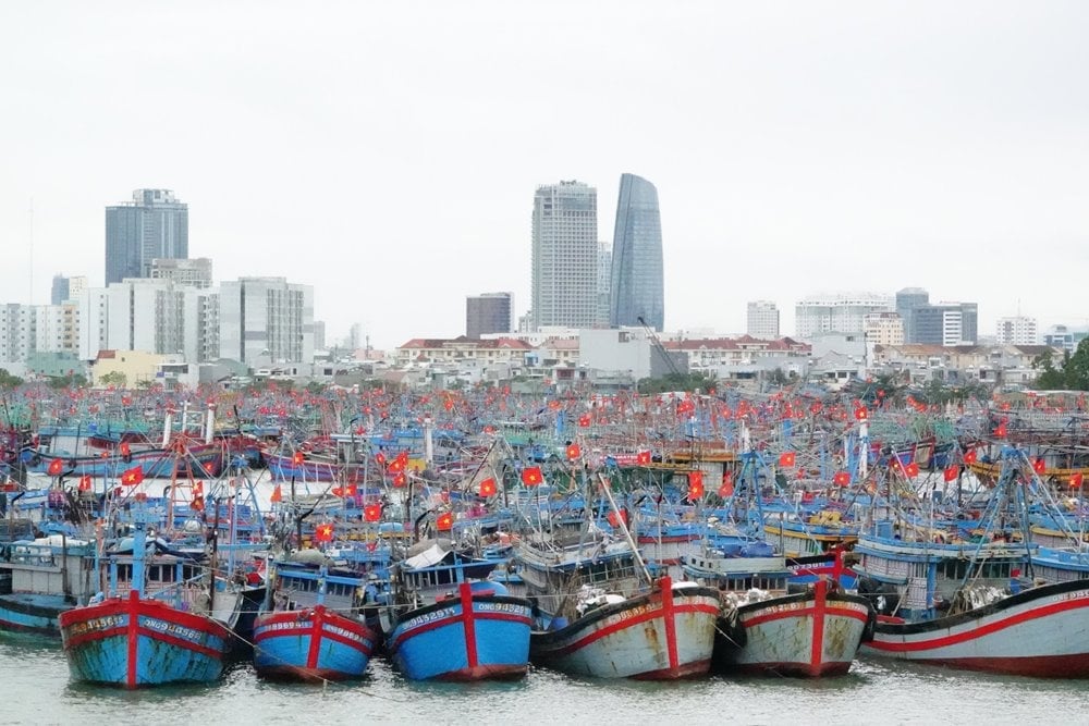 Tàu cá neo đậu tại âu thuyền và cảng cá Thọ Quang (Đà Nẵng). Ảnh: Lan Anh. Tàu cá neo đậu tại âu thuyền và cảng cá Thọ Quang (Đà Nẵng). Ảnh: Lan Anh.