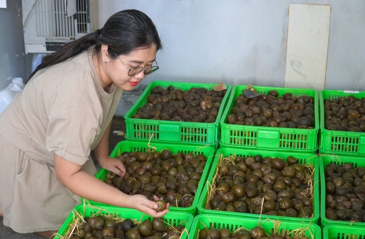 Khu vực 'ru ngủ' ốc gác bếp của gia đình chị Đặng Thế Quỳnh Anh. Ảnh: Kim Anh. Khu vực 'ru ngủ' ốc gác bếp của gia đình chị Đặng Thế Quỳnh Anh. Ảnh: Kim Anh.