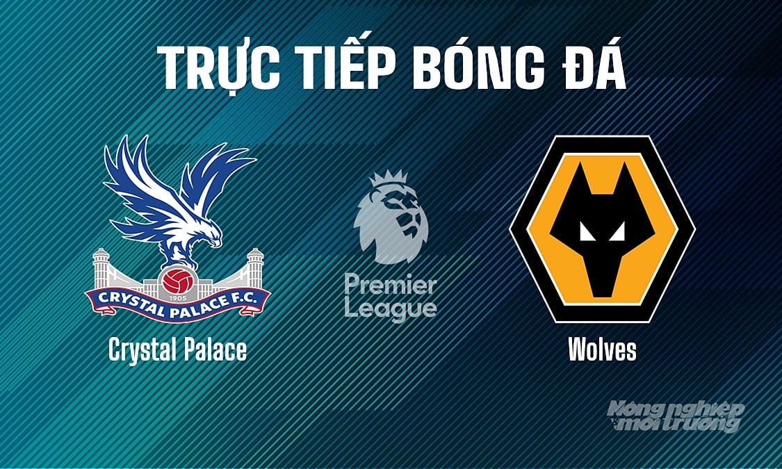 Trực tiếp bóng đá Ngoại hạng Anh giữa Crystal Palace vs Wolves ngày 21/5/2025 Trực tiếp bóng đá Ngoại hạng Anh giữa Crystal Palace vs Wolves ngày 21/5/2025