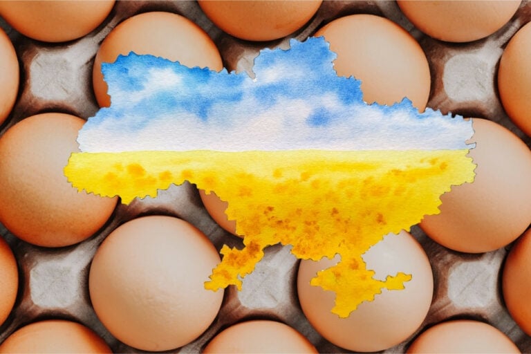 The new egg gigafarm being planned could alter competition in the Eastern European region. Photo: Canva.