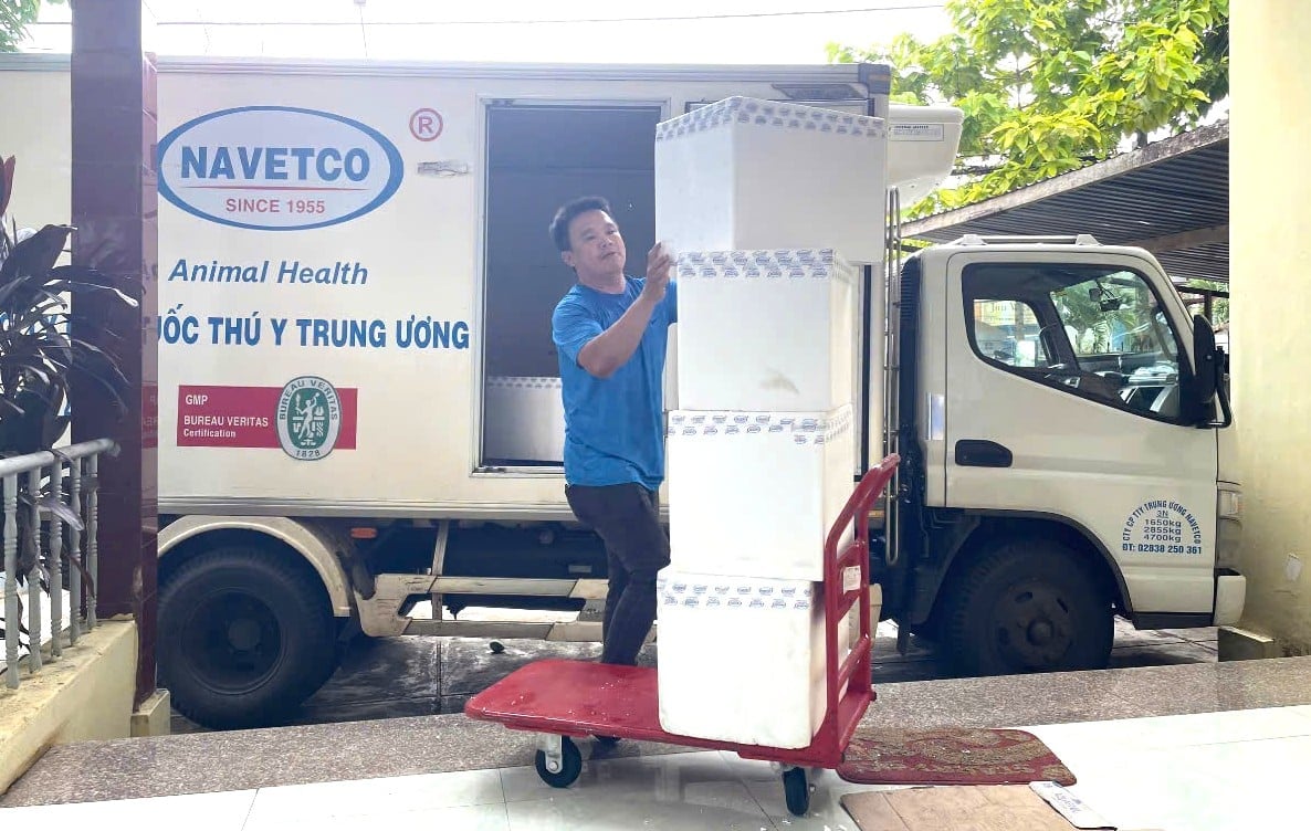 Rabies vaccines are distributed to localities in Gia Lai province. Photo: DL.
