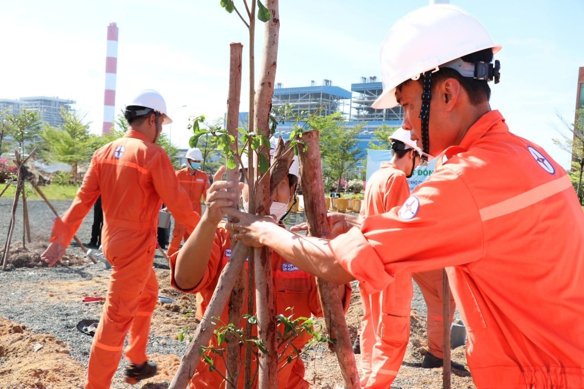 Cán bộ công nhân viên công ty tham gia trồng cây xanh. Ảnh: EVNGENCO3. Cán bộ công nhân viên công ty tham gia trồng cây xanh. Ảnh: EVNGENCO3.