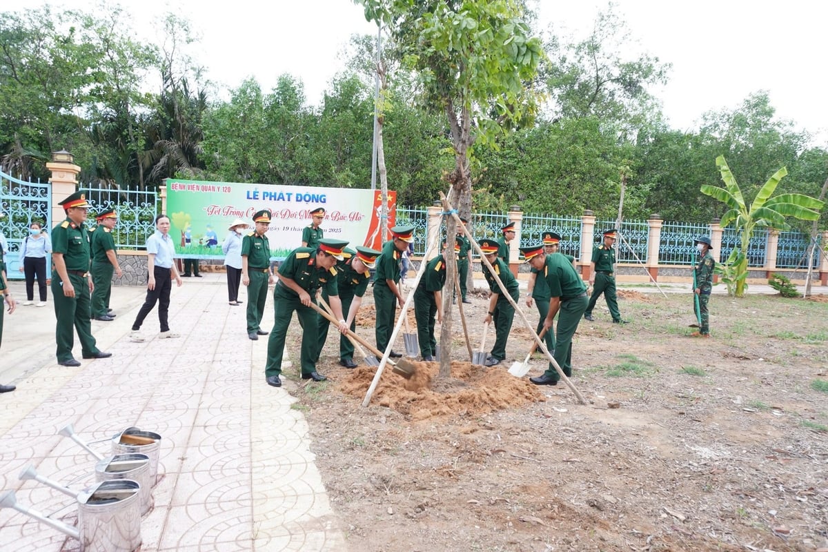 Cán bộ nhân viên Bệnh viện Quân y 120 trồng cây xanh trong khuôn viên bệnh viện. Ảnh: Minh Đảm. Cán bộ nhân viên Bệnh viện Quân y 120 trồng cây xanh trong khuôn viên bệnh viện. Ảnh: Minh Đảm.