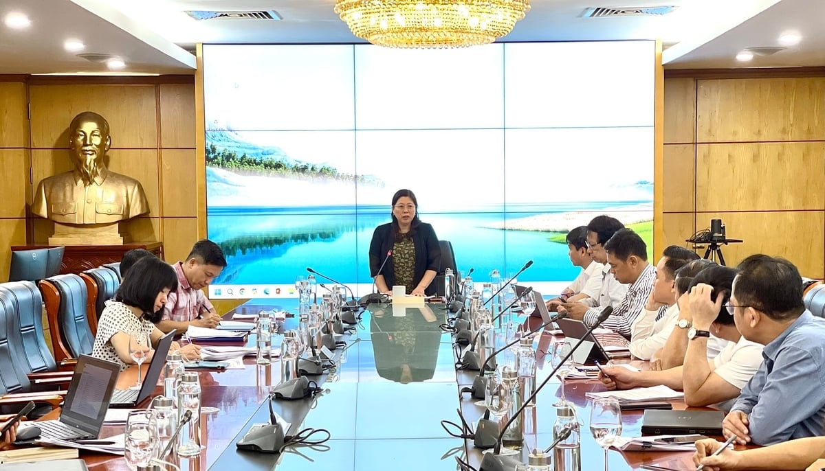 Thứ trưởng Nguyễn Thị Phương Hoa lưu ý, phạm vi điều chỉnh của Nghị định 03/2019/NĐ-CP cần tập trung vào các nội dung thuộc quản lý nhà nước đối với hoạt động viễn thám, các tổ chức, cá nhân có liên quan, không mở rộng quá mức, tránh chồng chéo với các luật chuyên ngành khác. Ảnh: Nguyễn Thủy. Thứ trưởng Nguyễn Thị Phương Hoa lưu ý, phạm vi điều chỉnh của Nghị định 03/2019/NĐ-CP cần tập trung vào các nội dung thuộc quản lý nhà nước đối với hoạt động viễn thám, các tổ chức, cá nhân có liên quan, không mở rộng quá mức, tránh chồng chéo với các luật chuyên ngành khác. Ảnh: Nguyễn Thủy.