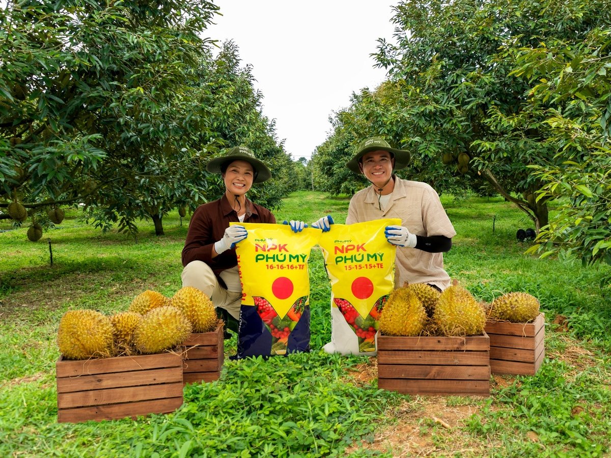Được sản xuất bằng công nghệ hiện đại, NPK Phú Mỹ bảo đảm hàm lượng Cd cực thấp, giúp kiểm soát tồn dư kim loại nặng, bảo vệ đất và nâng cao chất lượng trái. Ảnh: Phú Mỹ. Được sản xuất bằng công nghệ hiện đại, NPK Phú Mỹ bảo đảm hàm lượng Cd cực thấp, giúp kiểm soát tồn dư kim loại nặng, bảo vệ đất và nâng cao chất lượng trái. Ảnh: Phú Mỹ.