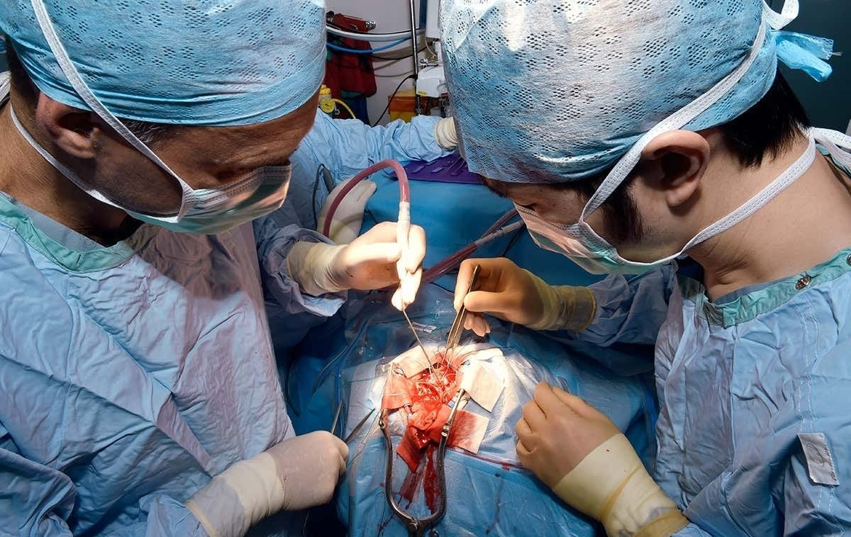 Một ca phẫu thuật u não. Ảnh: Newscientist. Một ca phẫu thuật u não. Ảnh: Newscientist.