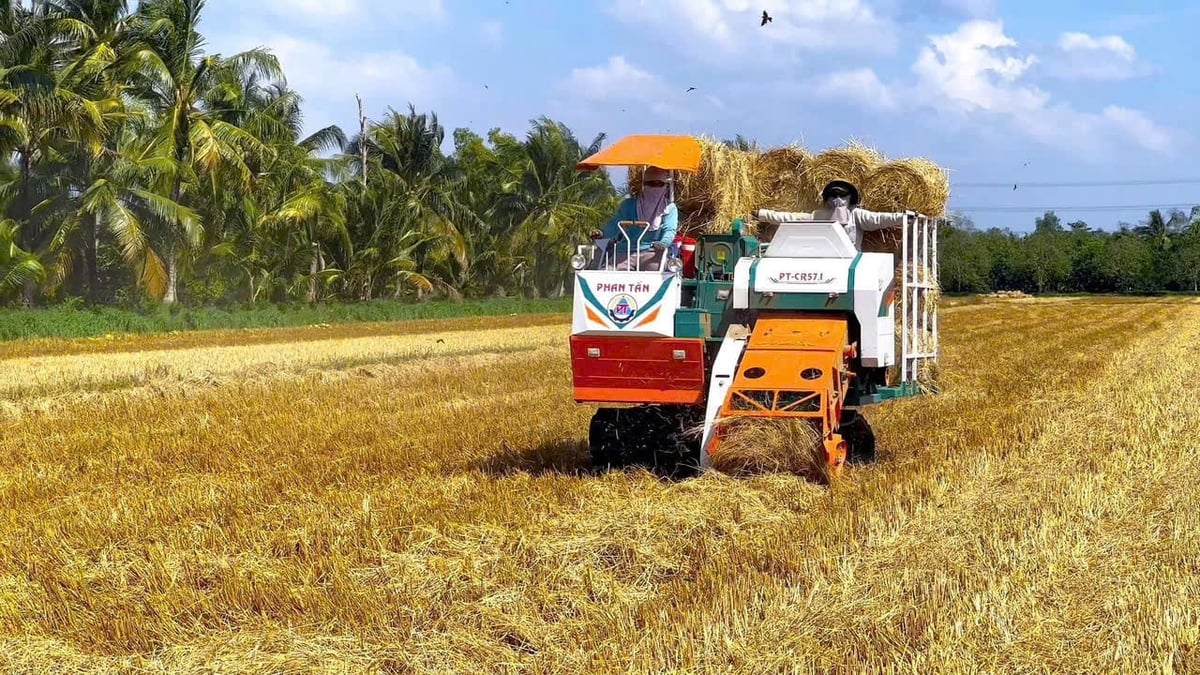 Từ máy cuốn rơm đến giải pháp xử lý rơm rạ tại ruộng, Phan Tấn tiên phong cơ giới hóa tuần hoàn, góp phần giảm phát thải và nâng cao chất lượng đất trồng lúa. Ảnh: Lê Hoàng Vũ. Từ máy cuốn rơm đến giải pháp xử lý rơm rạ tại ruộng, Phan Tấn tiên phong cơ giới hóa tuần hoàn, góp phần giảm phát thải và nâng cao chất lượng đất trồng lúa. Ảnh: Lê Hoàng Vũ.