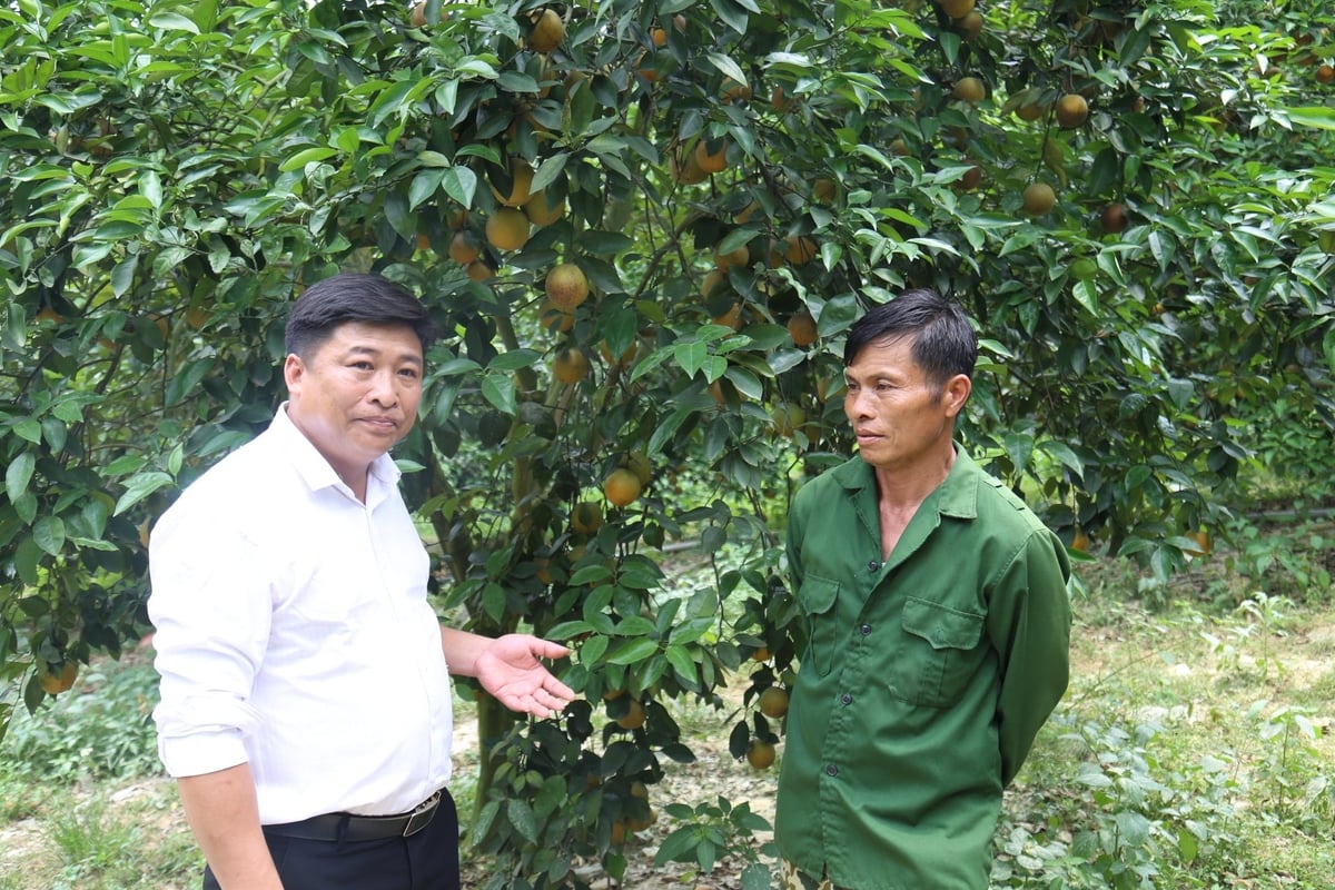 Cán bộ xã Phúc Khánh trao đổi cùng nông dân cách trồng, chăm sóc cam. Ảnh: H.Đ. Cán bộ xã Phúc Khánh trao đổi cùng nông dân cách trồng, chăm sóc cam. Ảnh: H.Đ.