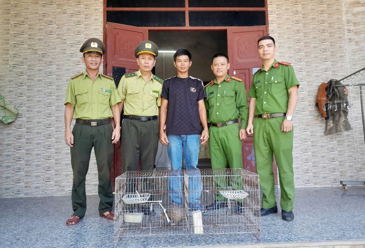 Hành động bàn giao đúng dịp kỷ niệm 52 năm Ngày thành lập lực lượng kiểm lâm Việt Nam (21/5/1973 - 21/5/2025). Ảnh: K.L Hành động bàn giao đúng dịp kỷ niệm 52 năm Ngày thành lập lực lượng kiểm lâm Việt Nam (21/5/1973 - 21/5/2025). Ảnh: K.L
