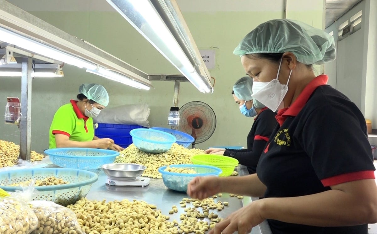 Mở rộng thị trường giúp doanh nghiệp giảm rủi ro trước biến động của chuỗi cung ứng toàn cầu. Ảnh: Hà Duyên. Mở rộng thị trường giúp doanh nghiệp giảm rủi ro trước biến động của chuỗi cung ứng toàn cầu. Ảnh: Hà Duyên.