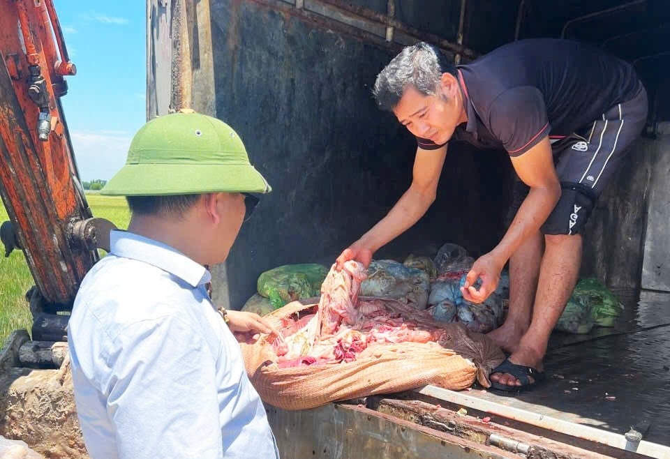Nội tạng bốc mùi hôi thối chuẩn bị tuồn vào nhà hàng, quán nhậu. Ảnh: Công an Hà Tĩnh. Nội tạng bốc mùi hôi thối chuẩn bị tuồn vào nhà hàng, quán nhậu. Ảnh: Công an Hà Tĩnh.