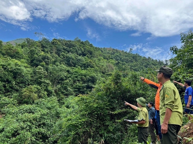Lực lượng chức năng cùng người dân thường xuyên tuần tra những cánh rừng. Ảnh: Trần Hương. Lực lượng chức năng cùng người dân thường xuyên tuần tra những cánh rừng. Ảnh: Trần Hương.