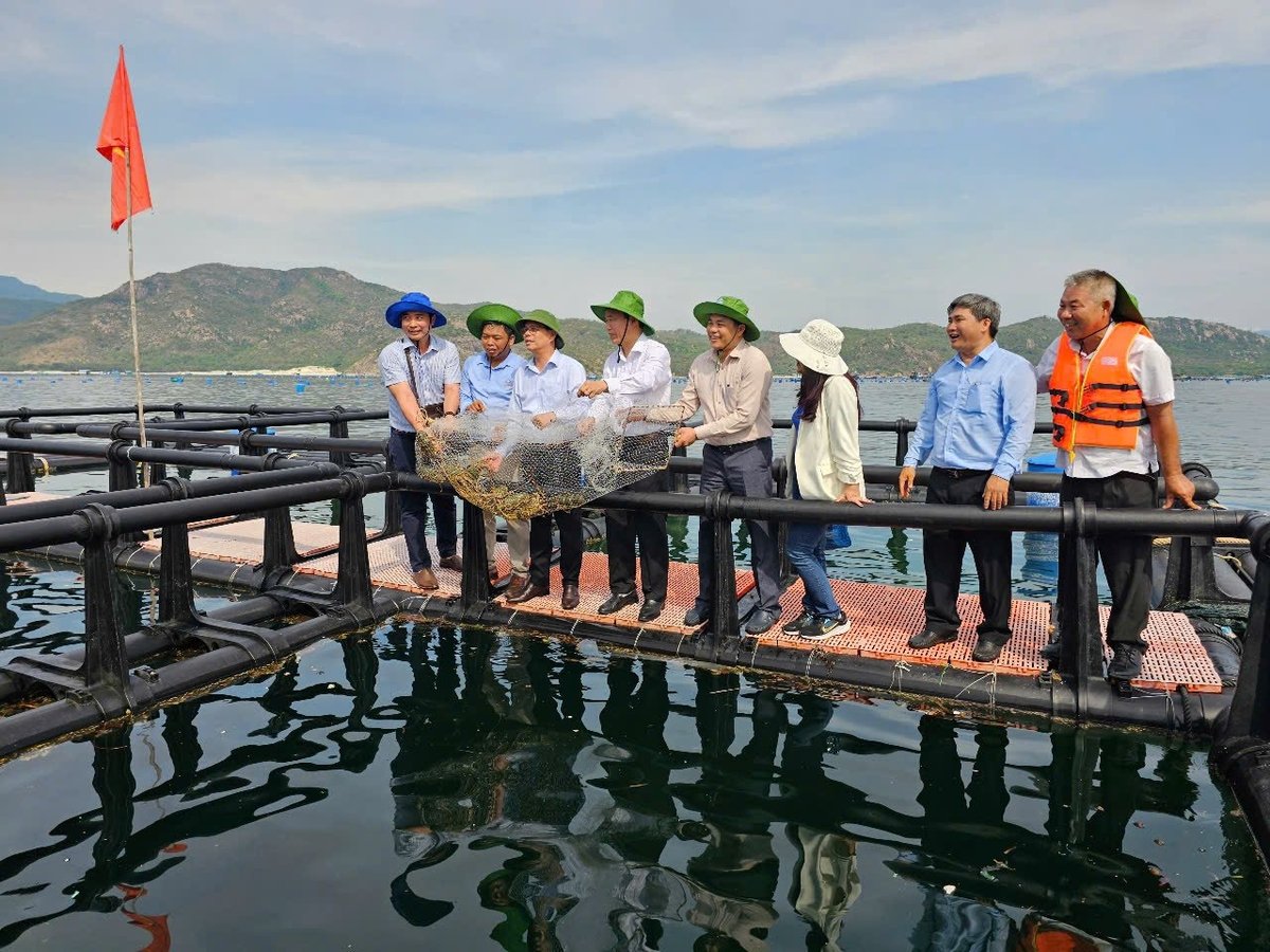 Thời gian qua, các nhà khoa học Viện Nghiên cứu Nuôi trồng thủy sản III đã đồng hành các địa phương để phát triển nuôi biển. Ảnh: KS. Thời gian qua, các nhà khoa học Viện Nghiên cứu Nuôi trồng thủy sản III đã đồng hành các địa phương để phát triển nuôi biển. Ảnh: KS.