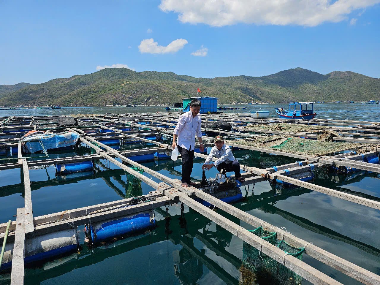 Công tác quan trắc môi trường nước được Viện Nghiên cứu Nuôi trồng thủy sản III tiến hành thường xuyên, liên tục. Ảnh: KS. Công tác quan trắc môi trường nước được Viện Nghiên cứu Nuôi trồng thủy sản III tiến hành thường xuyên, liên tục. Ảnh: KS.