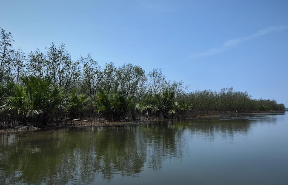 Khu Bảo vệ nguồn lợi thủy sản Doi Chỏi, xã Phú Diên, huyện Phú Vang, thành phố Huế. Ảnh: WWF. Khu Bảo vệ nguồn lợi thủy sản Doi Chỏi, xã Phú Diên, huyện Phú Vang, thành phố Huế. Ảnh: WWF.