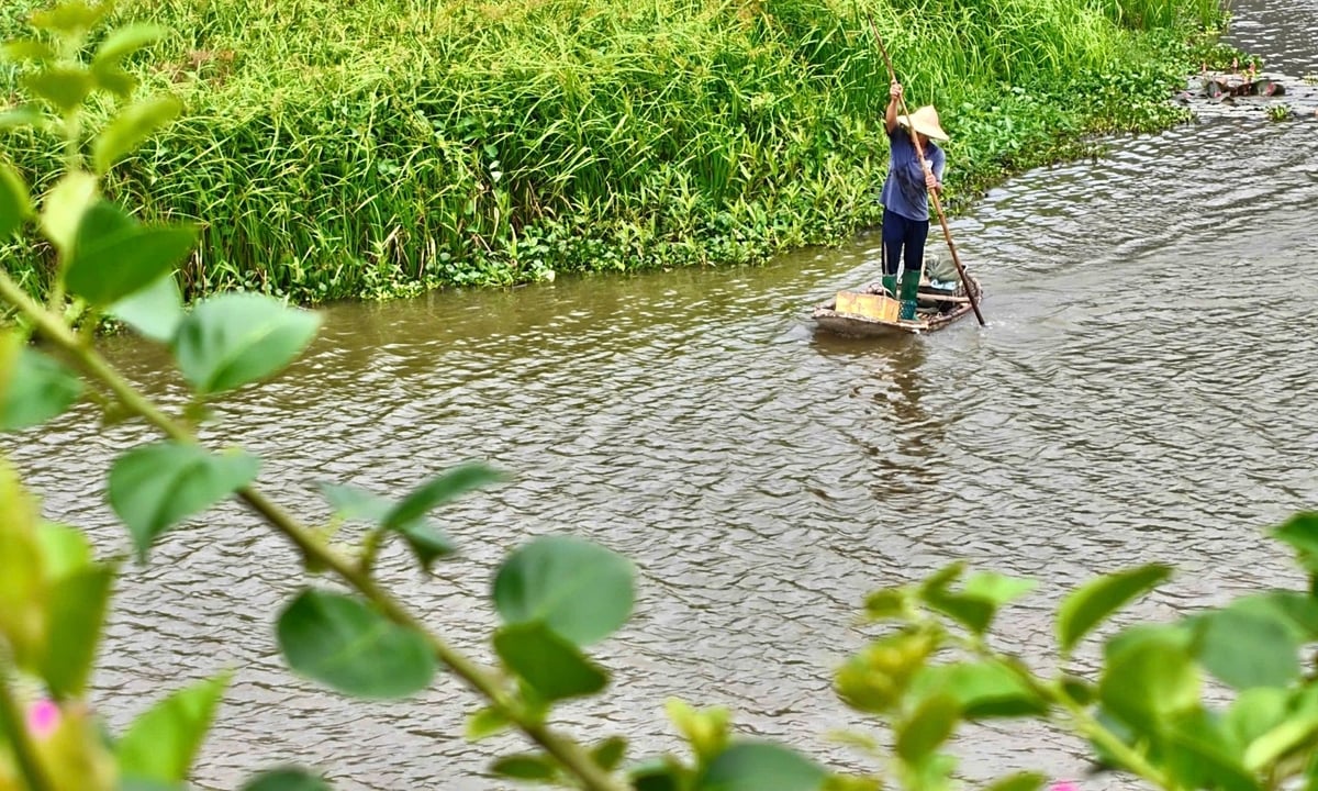 Người dân sống quanh khu vực tự bảo nhau kiểm tra sinh cảnh trong khu đầm ngập nước. Ảnh: Bảo Thắng. Người dân sống quanh khu vực tự bảo nhau kiểm tra sinh cảnh trong khu đầm ngập nước. Ảnh: Bảo Thắng.