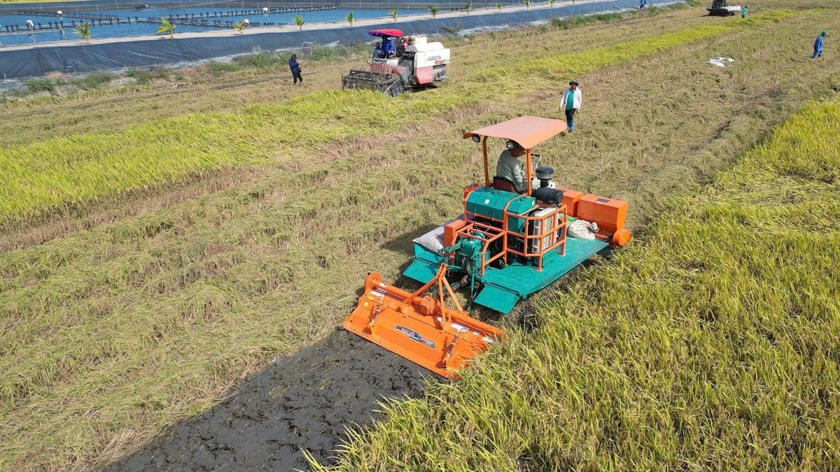 Cuối năm 2024, Phan Tấn đã chế tạo thành công máy liên hợp rải chế phẩm sinh học và vùi rơm rạ, thiết bị có thể hoạt động ngay sau khi thu hoạch, khi rơm còn tươi và đất còn giữ ẩm. Ảnh: Lê Hoàng Vũ. Cuối năm 2024, Phan Tấn đã chế tạo thành công máy liên hợp rải chế phẩm sinh học và vùi rơm rạ, thiết bị có thể hoạt động ngay sau khi thu hoạch, khi rơm còn tươi và đất còn giữ ẩm. Ảnh: Lê Hoàng Vũ.